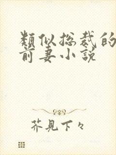类似总裁的替身前妻小说