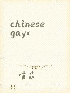 chinesegayx封面
