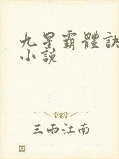 九星霸体诀所有小说封面