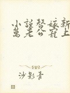 小说替嫁新娘亿万老公宠上天