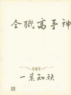 全职高手神枪手