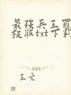 最强兵王罗铮精校版txt下载