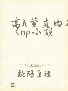 高h荤爽肉欲文〈np小说