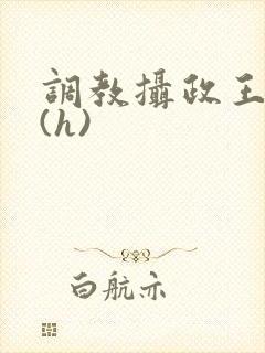 调教摄政王sm(h)封面