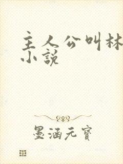 主人公叫林凡的小说