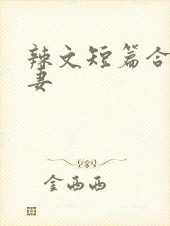 辣文短篇合集夫妻