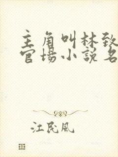主角叫林致远的官场小说名字