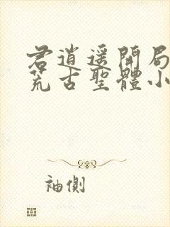 君逍遥开局签到荒古圣体小说名字封面