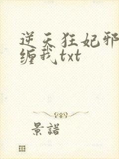 逆天狂妃邪王别缠我txt封面