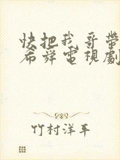 快把我哥带走曾希舜电视剧封面