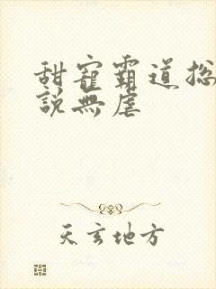 甜宠霸道总裁小说无虐