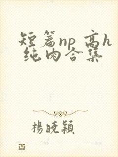 短篇np 高h 纯肉合集