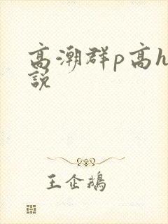 高潮群p高h小说