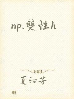 np.双性h封面
