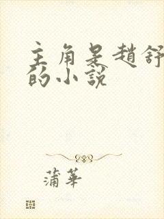 主角是赵舒袁颖的小说