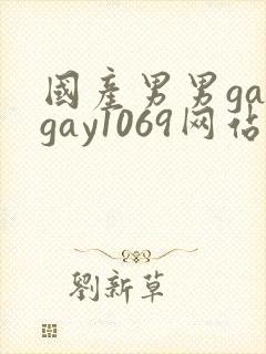 国产男男gaygay1069网站