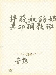 拧贱奴的奶头耳光sp调教微博