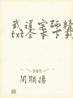 武道宗师精校版txt全本下载