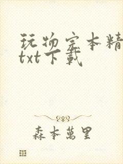 玩物完本精校版txt下载封面