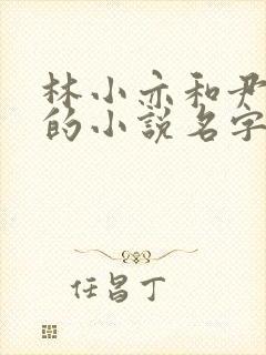 林小亦和尹司辰的小说名字