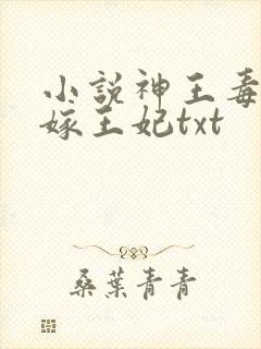 小说神王毒宠二嫁王妃txt