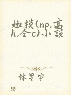 嫩模(np,高h,全c)小说