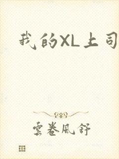我的XL上司