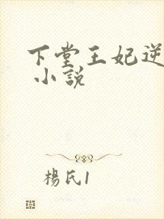 下堂王妃逆袭记 小说封面