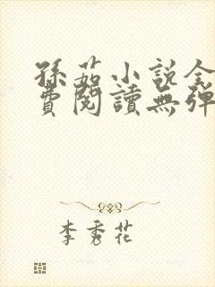 孙茹小说全文免费阅读无弹窗