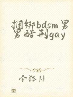 捆绑bdsm男男酷刑gay