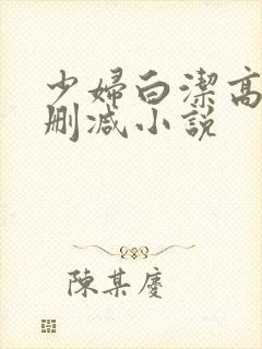少妇白洁高义无删减小说