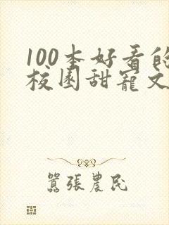 100本好看的校园甜宠文封面