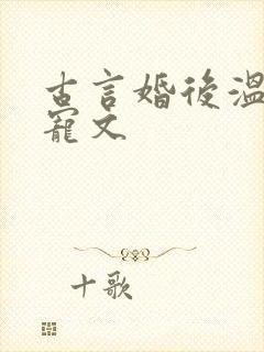古言婚后温馨甜宠文