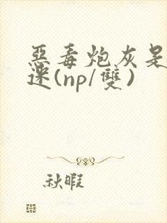 恶毒炮灰是万人迷(np/双)