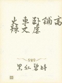 火车卧铺高h肉辣文虐