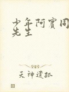 少年阿宾同人胡先生