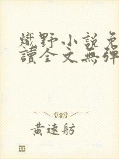 炽野小说免费阅读全文无弹窗封面