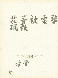 花蒂被电击抽打调教