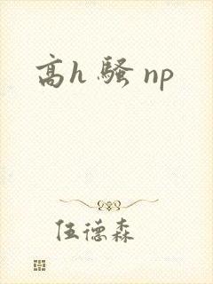 高h 骚 np