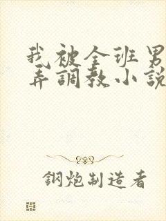 我被全班男生玩弄调教小说