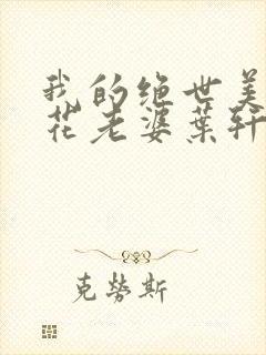 我的绝世美女校花老婆叶轩