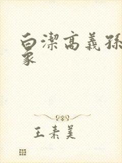 白洁高义孙倩大象