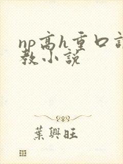 np高h重口调教小说