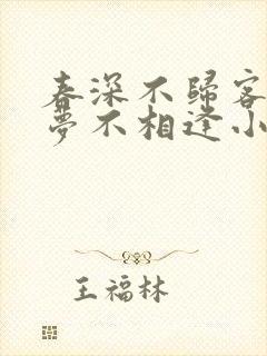 春深不归客,清梦不相逢小说