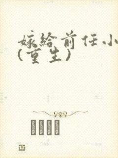 嫁给前任小叔子(重生)