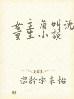 女主角叫沈晚的重生小说封面