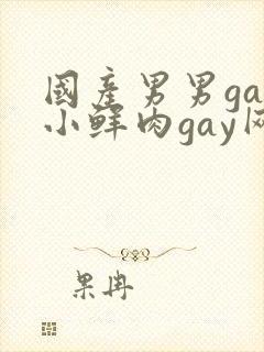 国产男男gay小鲜肉gay网站亚洲封面