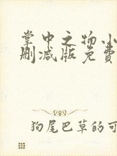 掌中之物小说未删减版免费
