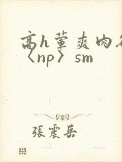 高h荤爽肉欲文〈np〉sm