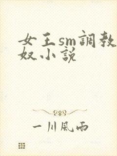 女王sm调教男奴小说